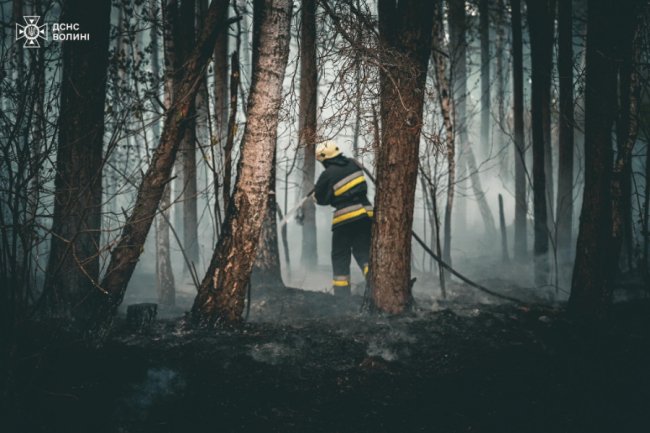 На Волині горів ліс. ВІДЕО