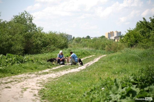 Маленька отара та пастухи