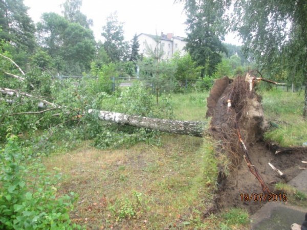 З'явилося відео наслідків буревію у Шацькому районі. ФОТО. ВІДЕО