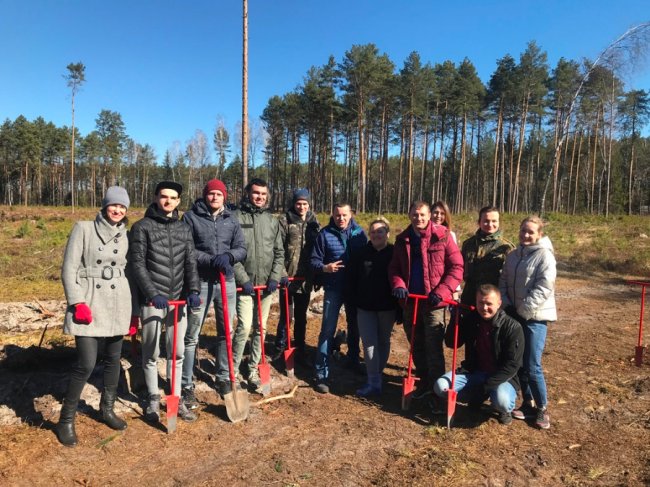 Користь для довкілля і «тімбілдингу»: фірма з Луцька у вихідний висадила гектар лісу. ФОТО
