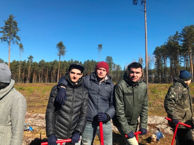 Користь для довкілля і «тімбілдингу»: фірма з Луцька у вихідний висадила гектар лісу. ФОТО