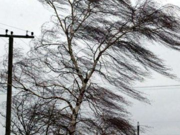 Обережно, шквал: волинян попереджають про погіршення погодніх умов