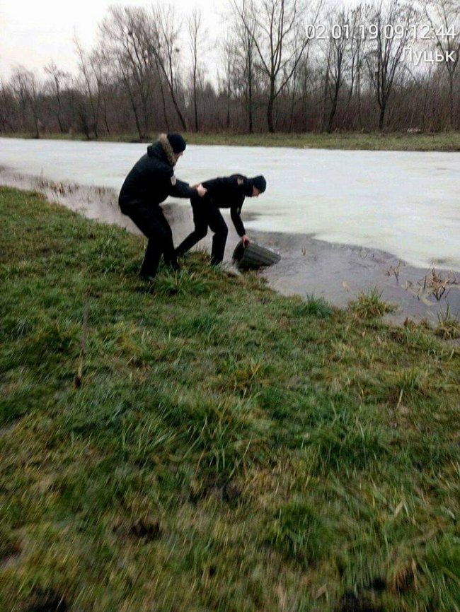 Смітники — в канаві: у луцькому парку похуліганили вандали. ФОТО