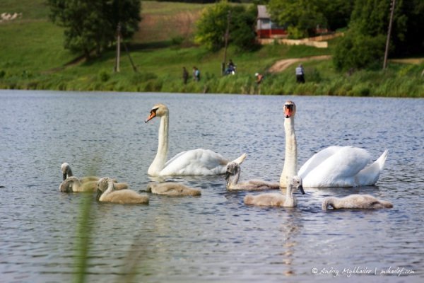 Фотовиставка Андрія Михайлова