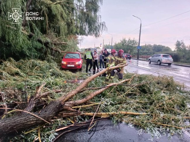 Містом пройшла гроза: у Луцьку рятувальники показали наслідки негоди