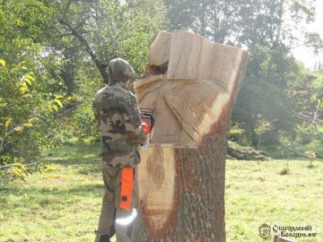 На Волині змайструють найбільший в Україні трон з дерева