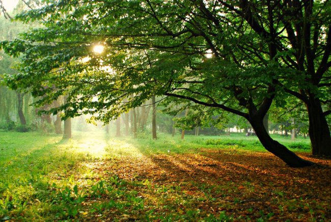 Осіння акварель в об'єктиві: дивовижні фото Луцька