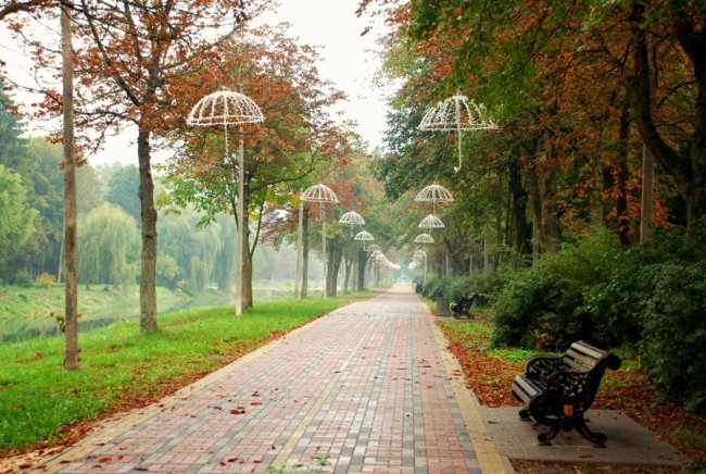 Осіння акварель в об'єктиві: дивовижні фото Луцька