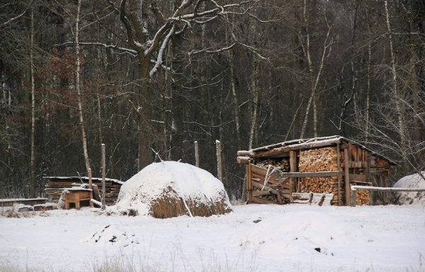 Красиві фото зими у волинському Поліссі 