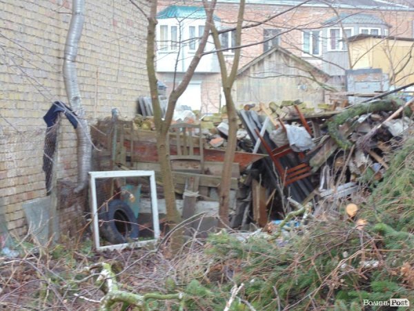 У центрі Луцька спиляли древню ялинку. ФОТО