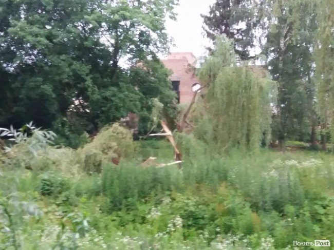 Гілля на проводах та потрощені дерева: луцький проспект після бурі. ФОТО