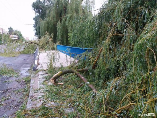 Гілля на проводах та потрощені дерева: луцький проспект після бурі. ФОТО