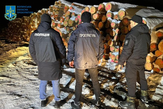 На Волині конфісковану в «чорних лісорубів» деревину продали за понад мільйон гривень