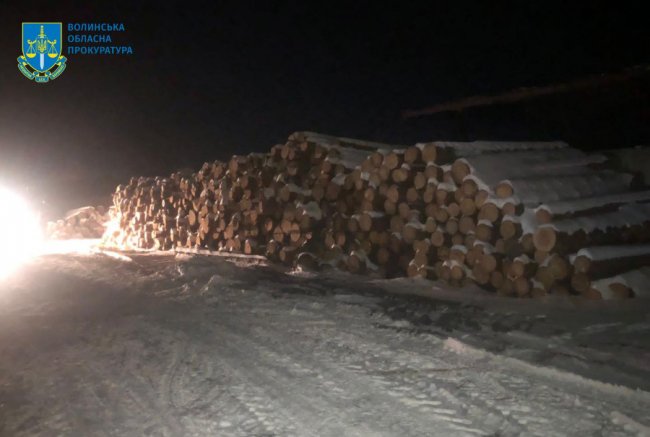 На Волині конфісковану в «чорних лісорубів» деревину продали за понад мільйон гривень