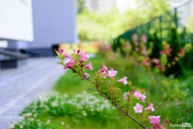 Місце затишку: як у Луцьку будують оселі у ЖК «Caramel Residence». ФОТО*