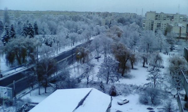 Перший сніг у Луцьку: реакція соцмереж. ФОТО