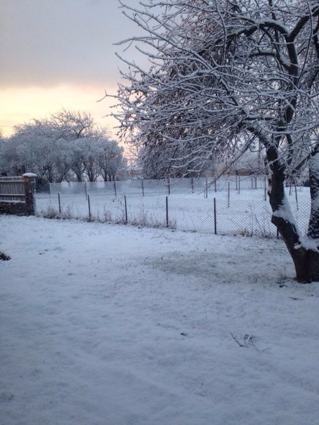 Перший сніг у Луцьку: реакція соцмереж. ФОТО