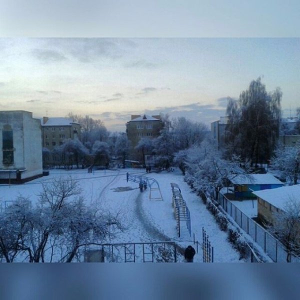 Перший сніг у Луцьку: реакція соцмереж. ФОТО
