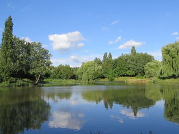 В річці Стир освятять воду