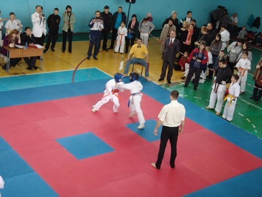 У Нововолинську змагалися каратисти. ФОТО