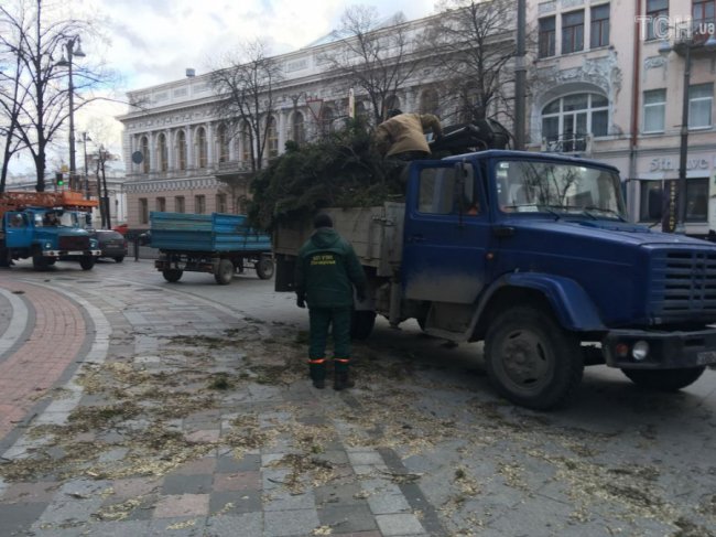 На Верховну Раду впало дерево. ФОТО
