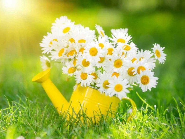 Погода в Луцьку та Волинській області на завтра, 3 липня