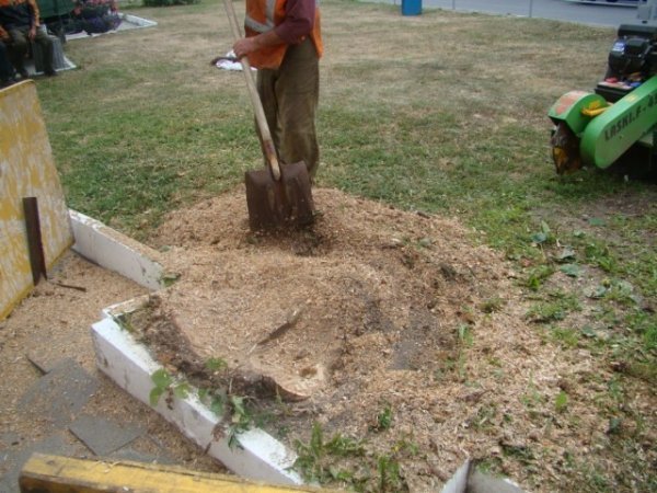 Як облагороджують центр Луцька. ФОТО