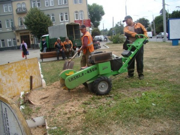 Як облагороджують центр Луцька. ФОТО