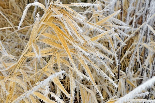 Волинь в льодяному тумані. ФОТО