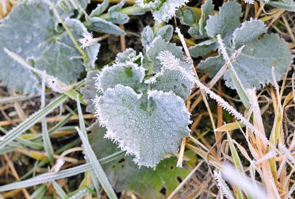 Волинь в льодяному тумані. ФОТО