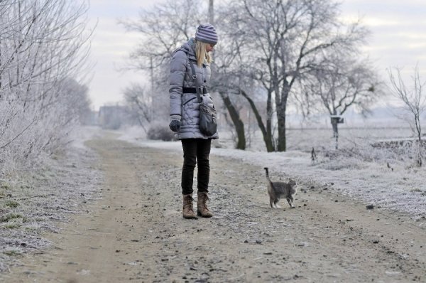 Волинь в льодяному тумані. ФОТО