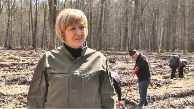 На Волині переселенці долучилися до акції з відновлення лісу: висадили 5 гектарів