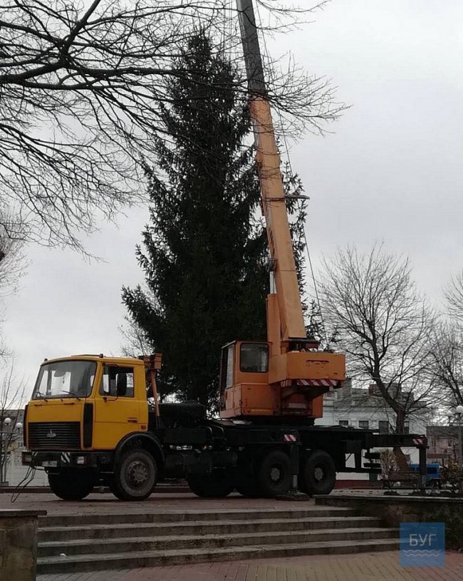 Якою буде головна ялинка Нововолинська
