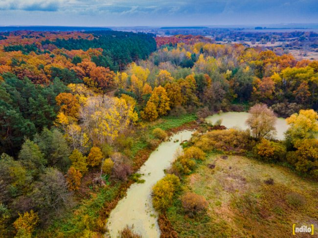 Захопливі осінні краєвиди Західного Бугу у волинській громаді з висоти пташиного польоту. ФОТО. ВІДЕО