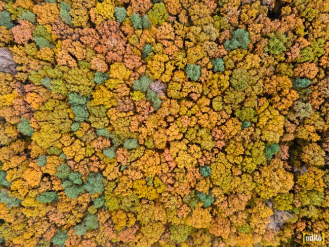 Захопливі осінні краєвиди Західного Бугу у волинській громаді з висоти пташиного польоту. ФОТО. ВІДЕО