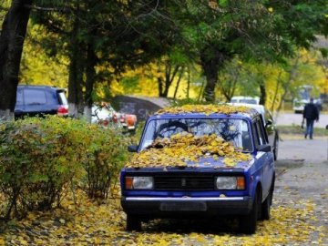 Погода у Луцьку на неділю, 14 листопада