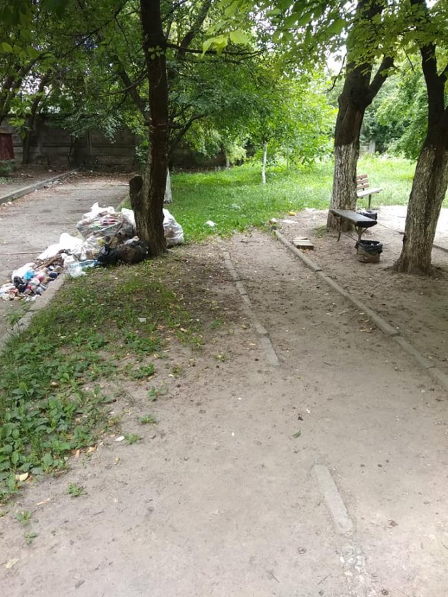 «Немає сил на це дивитися»: луцький двір засипали сміттям. ФОТО