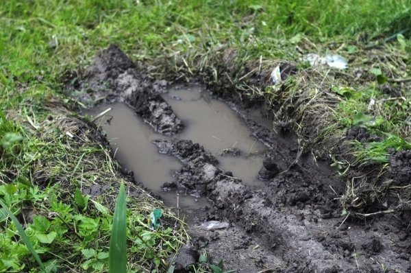 Мешканці багатоповерхівки скаржаться на комунальників, які зруйнували квітник. ФОТО