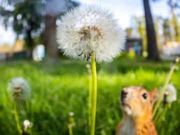 Погода в Луцьку та Волинській області на суботу, 29 травня