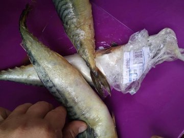 «Жах і сором»: у Володимирі в супермаркеті продали гнилу рибу. ФОТО