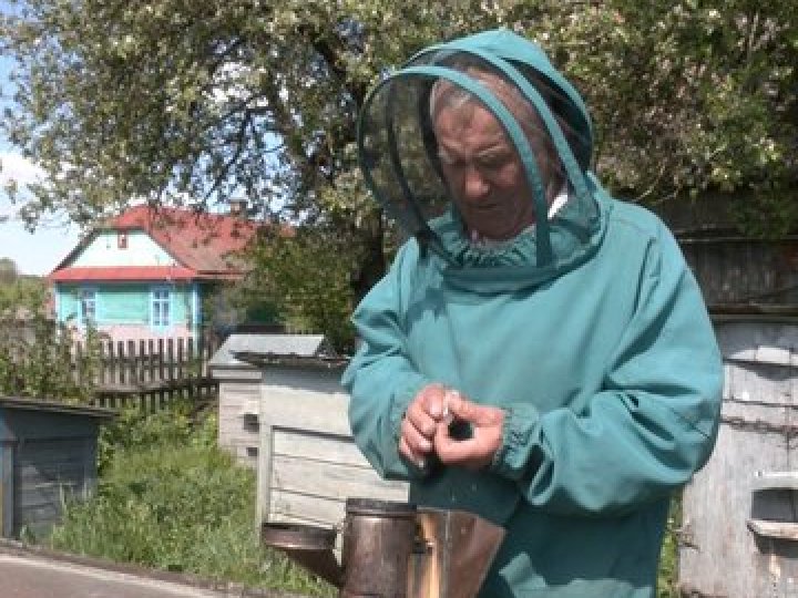 «Поки не вмру, бджіл не покину»: 84-річний пасічник з Волині доглядає 25 вуликів. ВІДЕО