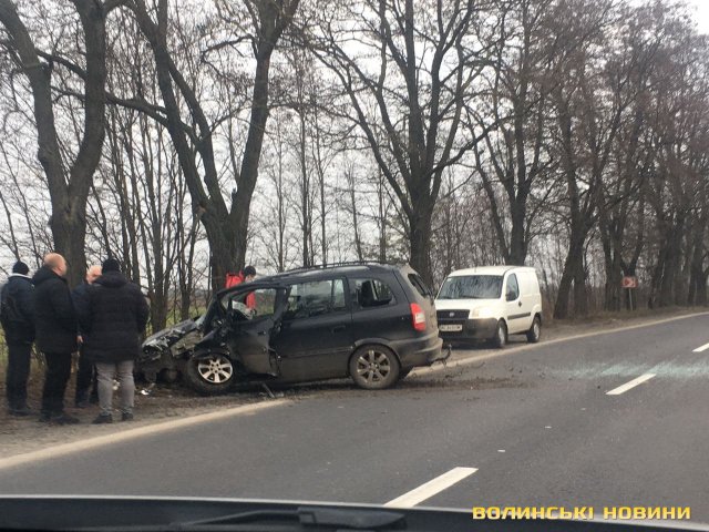 Аварія на Волині: легковик врізався у дерево