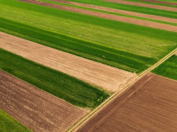 На Волині викрили злочинну схему заволодіння земельними ділянками вартістю 5,5 мільйонів