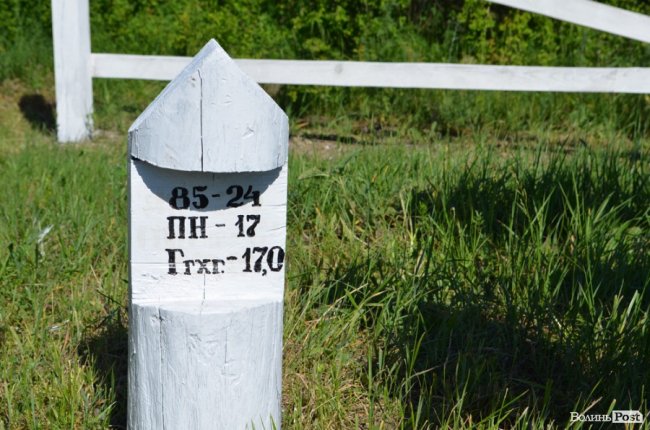 Горіховий рай: як на Волині плекають «смачну і корисну» плантацію