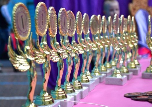 В Луцьку пройде всеукраїнський турнір «Принцеса гімнастики». ФОТО. ОНОВЛЕНО