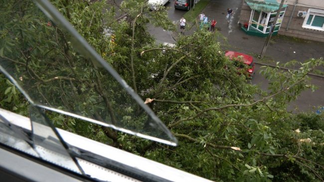 Зірваний дах, пошкоджені ЛЕП, повалені дерева: у Луцьку ліквідовують наслідки негоди. ВІДЕО
