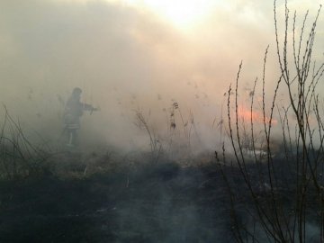 На Волині за минулий тиждень рятувальники 92 рази виїжджали на гасіння сухої трави. ФОТО. ВІДЕО