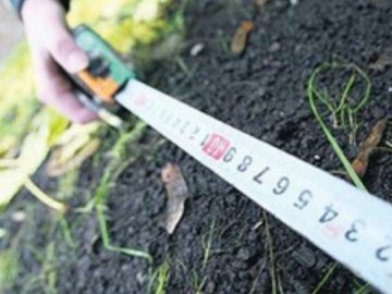 Прокуратура відсудила дві безхазяйні ділянки на Волині