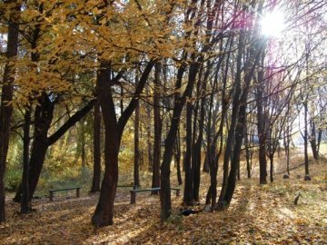 Парк у Луцьку: осіння краса і людська байдужість. ФОТО