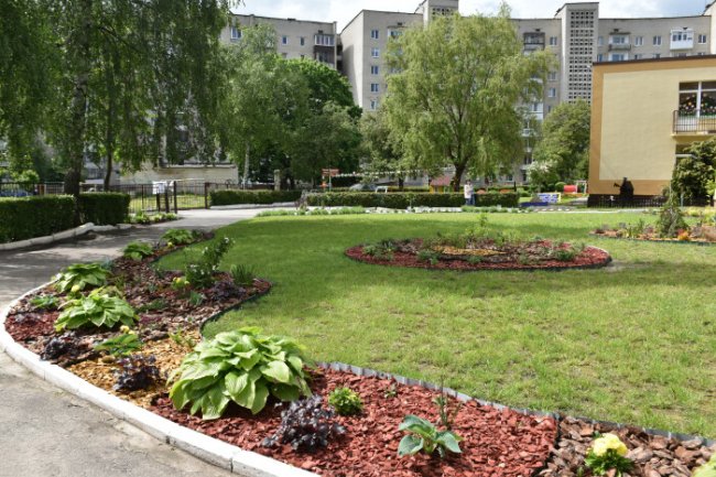 У Луцьку на території дитячого садочка з'явився ботанічний куточок. ФОТО